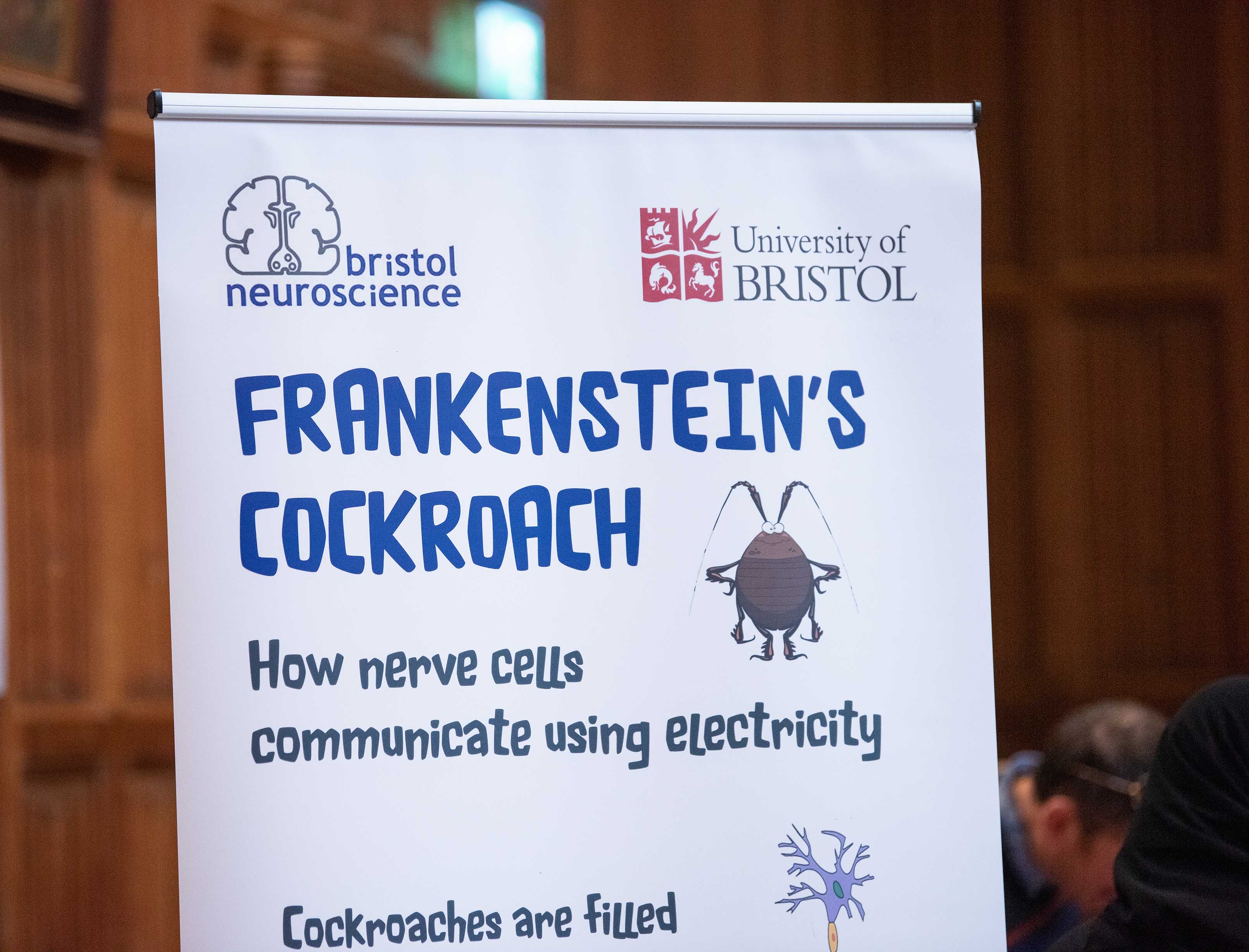 Frankenstein's cockroach poster